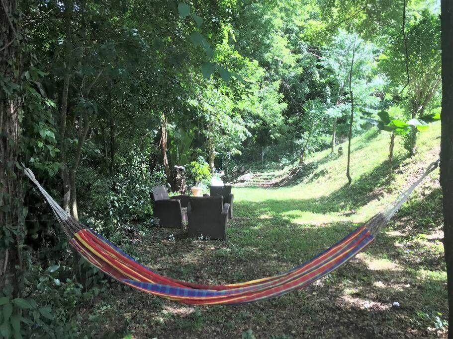 Appartement Colibri , Les Anses D 'Arlet Bagian luar foto