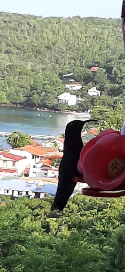 Appartement Colibri , Les Anses D 'Arlet Bagian luar foto